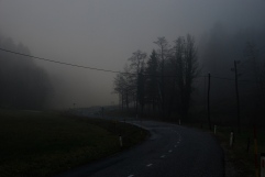 Last kilometeres in Slovenia cycled alone (it was getting quite foggy)
